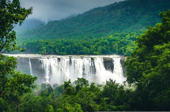 Stunning Kerala 5 Days