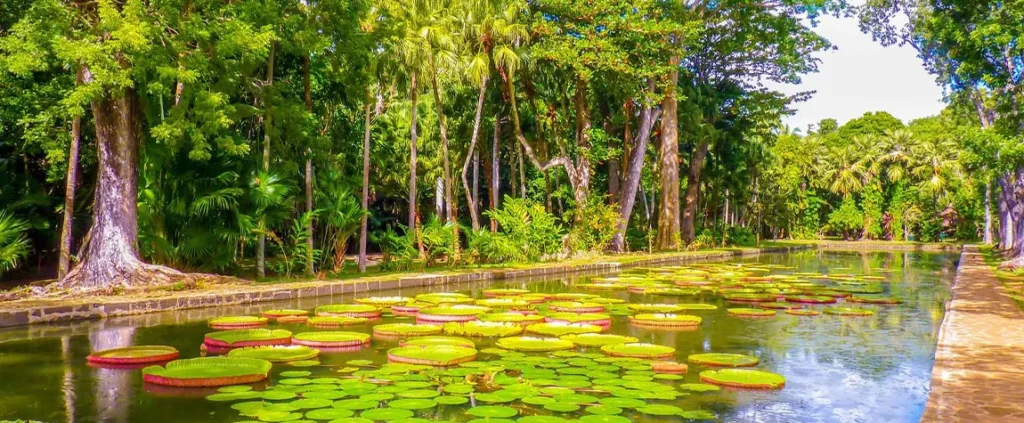 Special Mauritius Family Adventure 7 Days