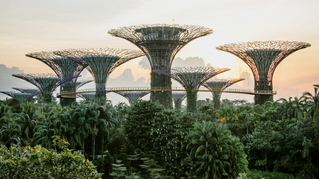 Amazing Singapore with Cruise 7 Days Tour