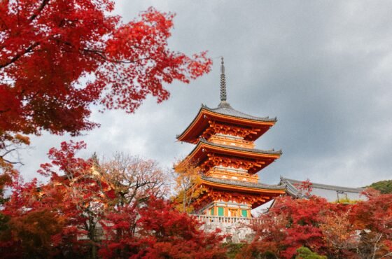 Special Japan Adventure 9 Days Package